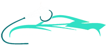Company name LLC
